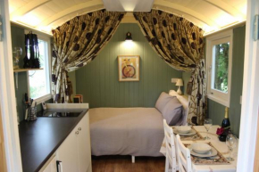 The Kestrel Shepherd Hut, Whitehouse Farm